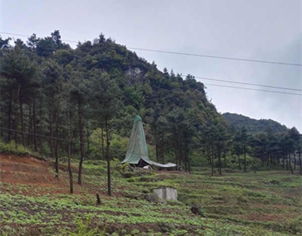 把脈“黔”鋅地，問(wèn)診開(kāi)良方